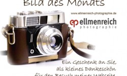 Bild des Monats