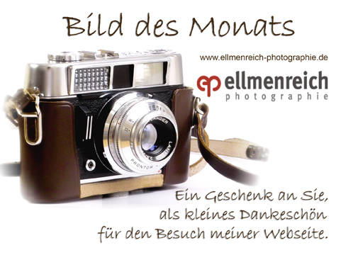 Bild des Monats