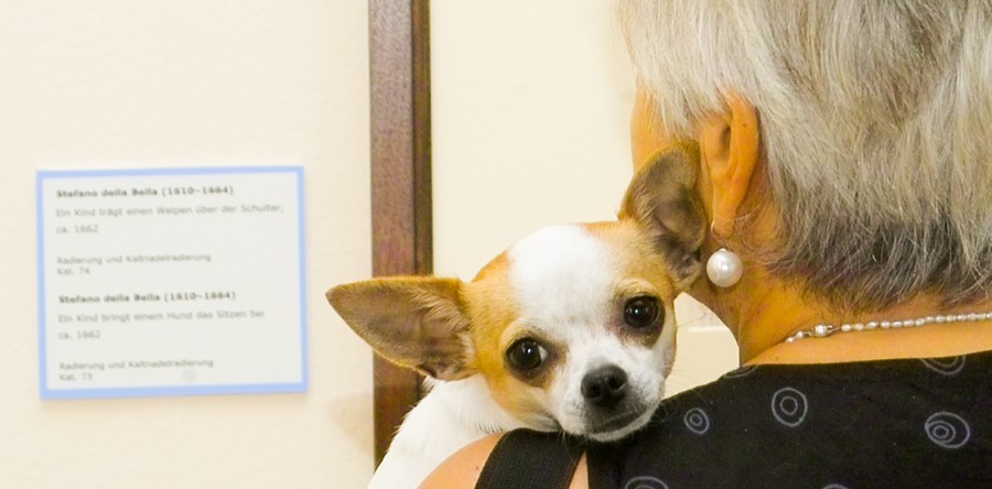 Wir kommen auf den Hund