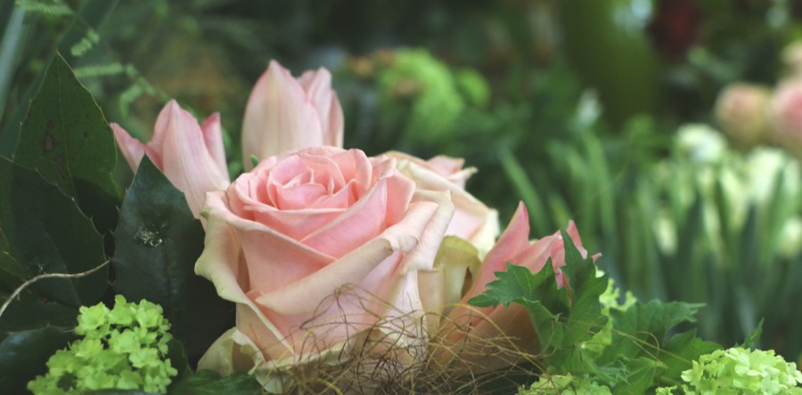 Das Firmen- Portrait